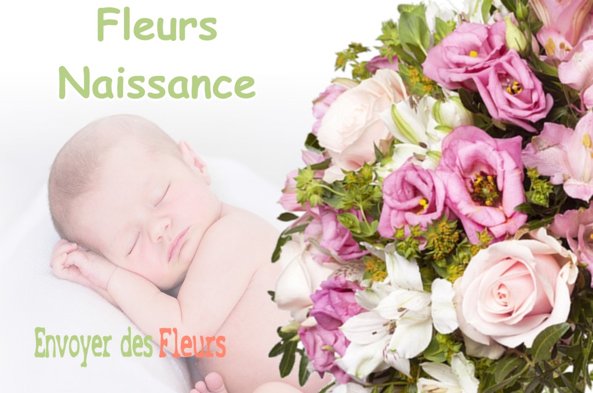 lIVRAISON FLEURS NAISSANCE à GARREY